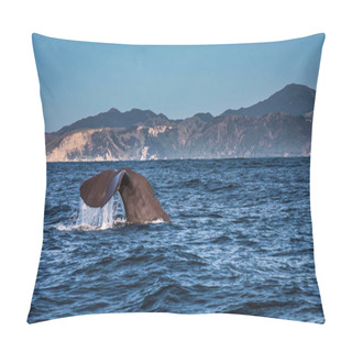 Personality  Sinking Sperm Whale In Kaikoura Pillow Covers