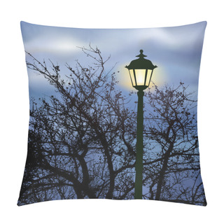 Personality  Glowing Lantern Near The Branches Pillow Covers