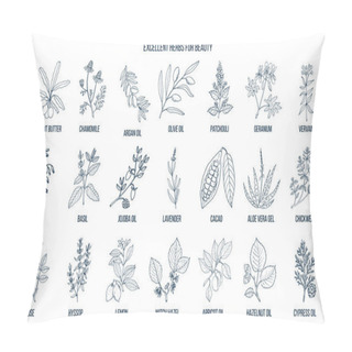 Personality  Best Herbs For Beauty. Pillow Covers