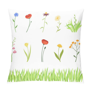 Personality  Set Of Meadow And Garden Herbs And Flowers And A Horizontal Background Of Grass. Pillow Covers