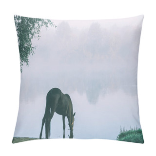 Personality  Beautiful Black Horse Grazing On Green Pasture In Altai, Russia  Pillow Covers