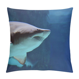 Personality  Shark With Open Mouth Pillow Covers