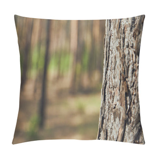Personality  Close Up View Of Textured Tree In Forest With Copy Space Pillow Covers