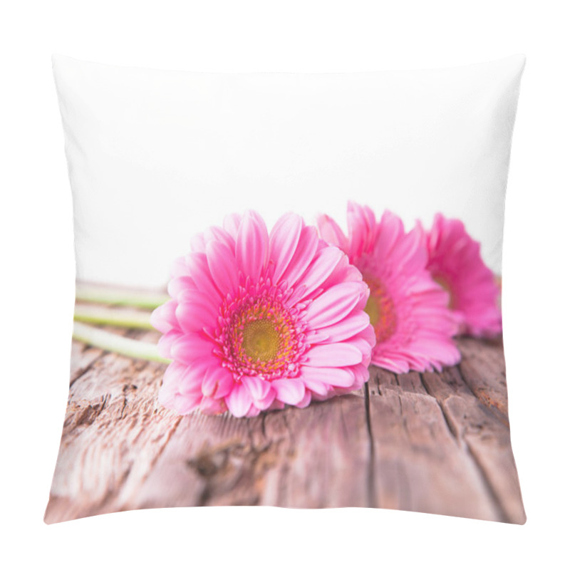 Personality  gerbera daisies pillow covers