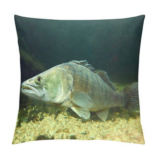 Personality  Pike Perch Pillow Covers