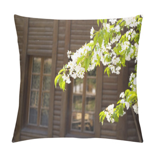 Personality  City View Old Houses Pillow Covers