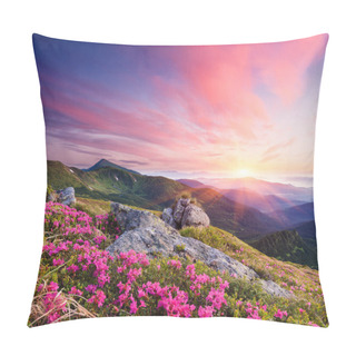 Personality  Summer Landscape With Flowers In The Mountains Pillow Covers
