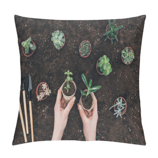 Personality  Cropped Shot Of Hands Holding Green Potted Plants Above Soil And Gardening Tools Pillow Covers