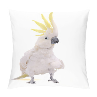 Personality  Parrot Pillow Covers