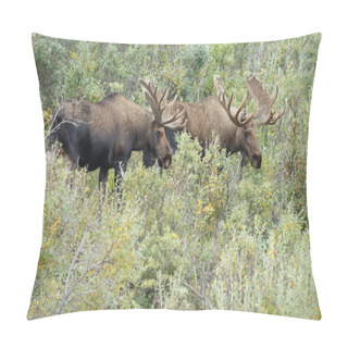 Personality  Two Moose Male Walking  Pillow Covers
