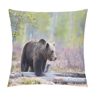 Personality  Brown Bear In The Taiga Pillow Covers