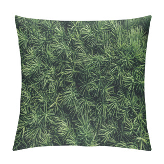 Personality  Full Frame Image Of Pine Tree Needles Background Pillow Covers