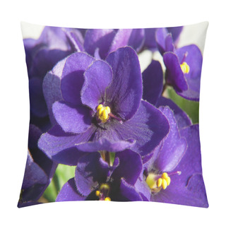 Personality  Beautiful Violet Close Up Pillow Covers