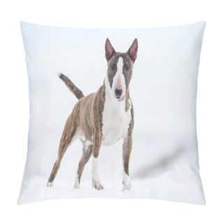 Personality  Miniature Bull Terrier Dog In Winter Pillow Covers