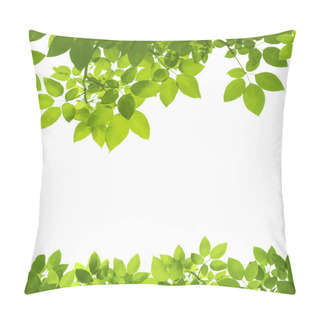 Personality  Green Leaves Border On White Background Pillow Covers
