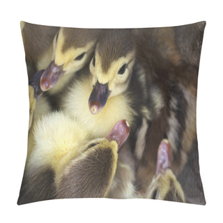 Personality  Cute Little Ducklings Stick Together By One Big Family Pillow Covers