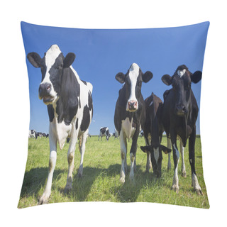 Personality  Cows On Green Grass Pillow Covers