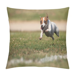 Personality  Energetic Jack Russell Terrier Dog Runs On The Grass Pillow Covers