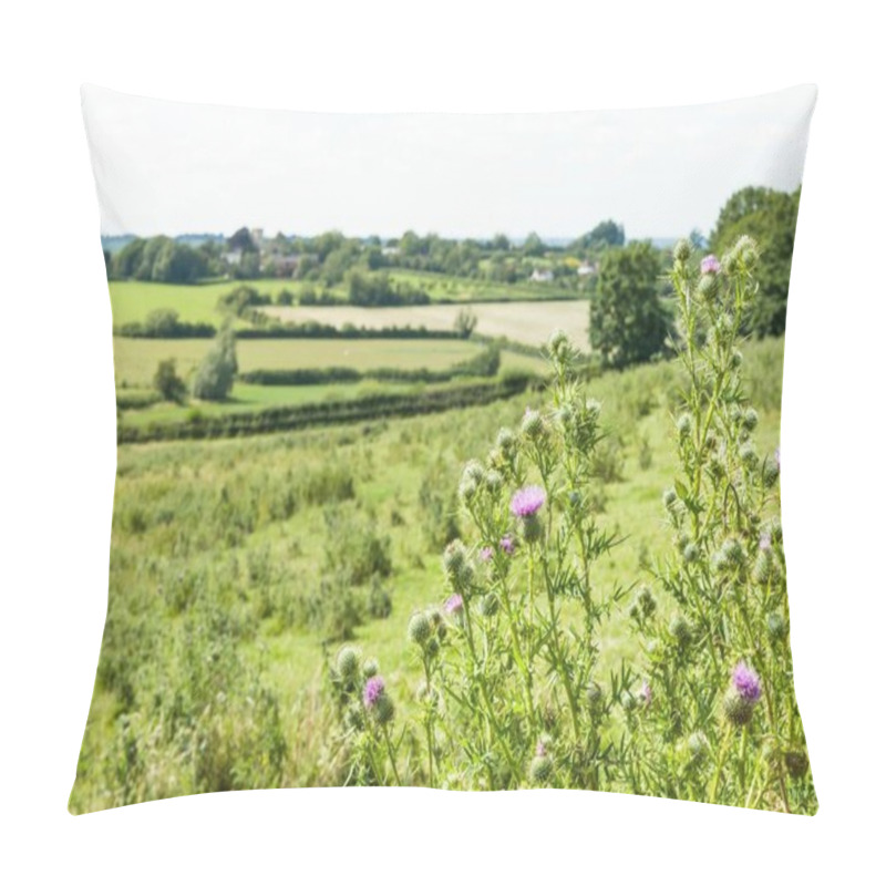Personality  Field Of Wild Flowers (common Thistle) In Buckinghamshire Countryside, Aylesbury Vale, UK Pillow Covers