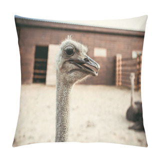 Personality  Closeup Shot Of Ostrich Muzzle On Blurred Background In Corral At Zoo Pillow Covers