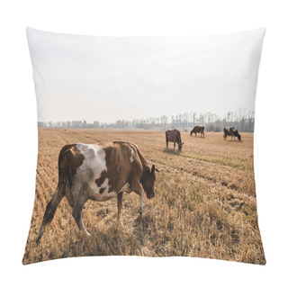 Personality  Herd Of Bulls And Cows Standing In Pasture Against Cloudy Sky  Pillow Covers
