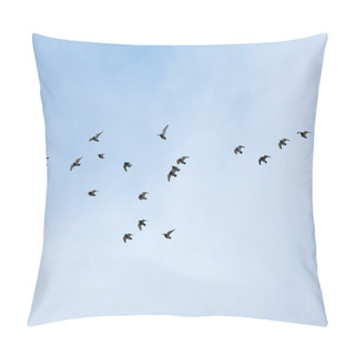 Personality  Birds Flying Pillow Covers
