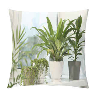 Personality  Many Different Potted Plants On Windowsill Indoors Pillow Covers