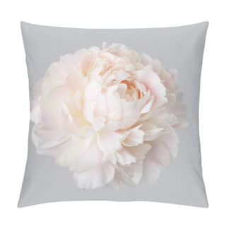 Personality  Peony Pale Pink Color On Gray Background Pillow Covers