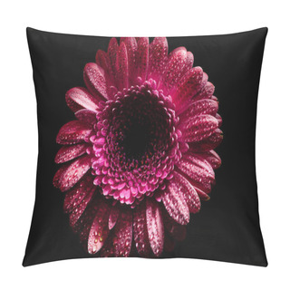 Personality  Top View Of Pink Gerbera Flower With Drops On Petals, Isolated On Black Pillow Covers
