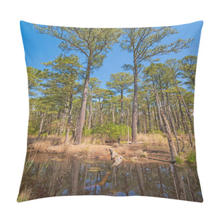 Personality  Loblolly Pines Growing Out Of The Wetlands In The Blackwater Wildlife Refuge In Maryland Pillow Covers