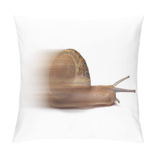 Personality  Speed Snail Isolated On White Background Pillow Covers