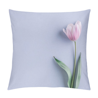 Personality  Pink Tulip Flower On Light Blue Background. Greeting Card Or Wedding Invitation. Flat Lay, Top View. Pillow Covers