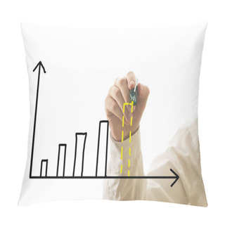 Personality  Businessman Drawing Bar Graph Pillow Covers