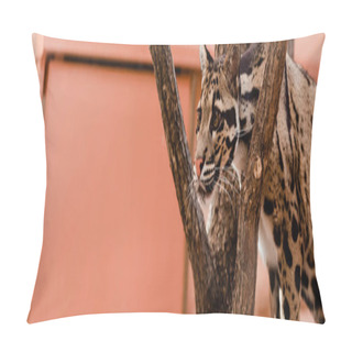 Personality  Panoramic Shot Of Leopard Standing Near Tree In Zoo   Pillow Covers