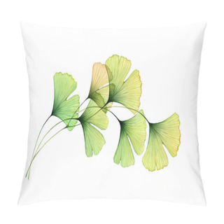 Personality  Watercolor Foliage Arch. Ginkgo Tree Branch. Round Design Element. Transparent Green Leaves Isolated On White. Realistic And Botanical Illustration Pillow Covers