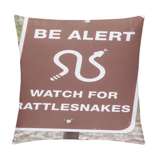 Personality  Danger Rattlesnakes Pillow Covers