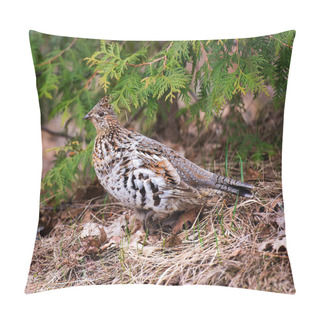 Personality  Partridge Bird Close-up Profile View Walking In The Forest In The Autumn Season Displaying Brown Feathers Plumage In Its Environment And Habitat. Pillow Covers