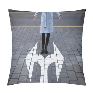 Personality  Make Choice Which Way To Go. Decision Concept With Directional Arrow Sign And Woman Standing At Road Pillow Covers