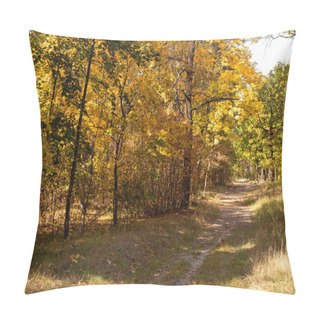 Personality  Scenic Autumn Forest With Golden Foliage And Path In Sunlight Pillow Covers