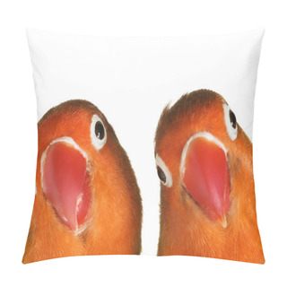 Personality  Lovebirds Pillow Covers