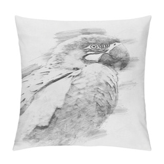 Personality Parrot. Sketch With Pencil Pillow Covers