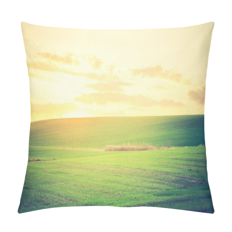 Personality  Vintage photo of young green cereal field pillow covers