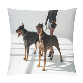 Personality  Partial View Of Elegant Woman With Dobermans On Chain Leashes On Grey Background With Shadows Pillow Covers