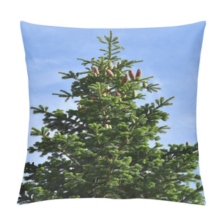 Personality  White Fir Tree Needle Conifer Evergreen Nordmann Pillow Covers