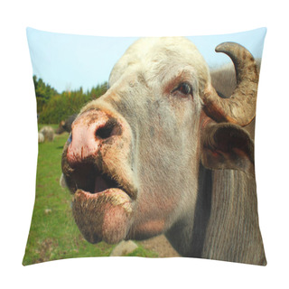 Personality  The Water Buffalo Or Domestic Asian Water Buffalo In Water. Pillow Covers