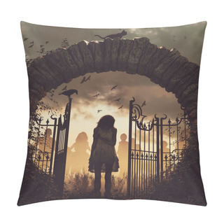 Personality  Ghost Girl At The Gate,3d Illustration For Book Cover,vertical Pillow Covers