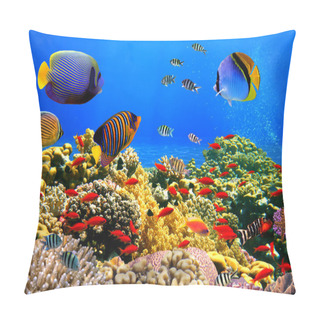 Personality  Photo Of A Coral Colony On A Reef Pillow Covers