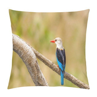 Personality  The Grey-headed Kingfisher (Halcyon Leucocephala), Murchison Falls National Park, Uganda. Pillow Covers