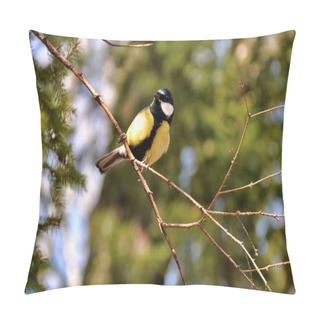 Personality  Little Great Tit Bird Sitting On The Tree Brach At Winter Pillow Covers