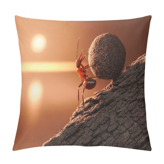 Personality  Ant Sisyphus Rolls Stone Uphill On Mountain Pillow Covers
